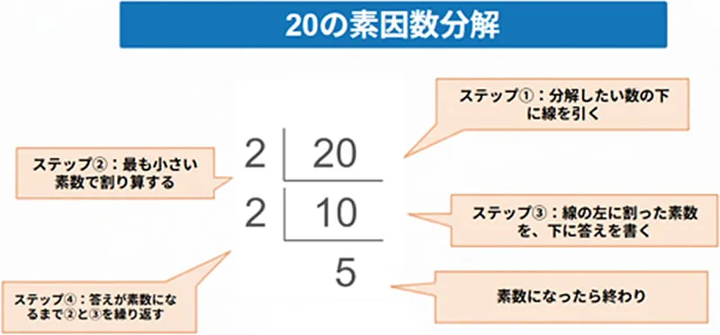 20の素因数分解 