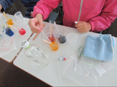 本格的な実験です