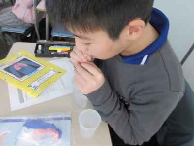 上手くできるかな？